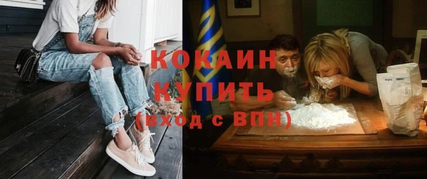 ГАЛЛЮЦИНОГЕННЫЕ ГРИБЫ Корсаков