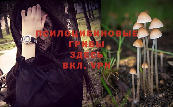 метадон Костерёво