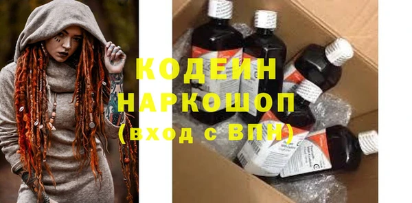 ГАЛЛЮЦИНОГЕННЫЕ ГРИБЫ Корсаков