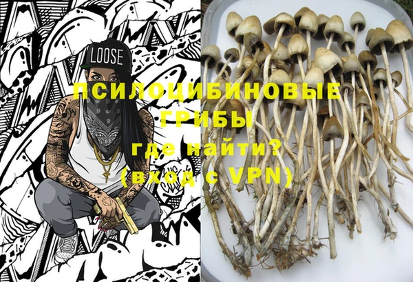 ГАЛЛЮЦИНОГЕННЫЕ ГРИБЫ Корсаков