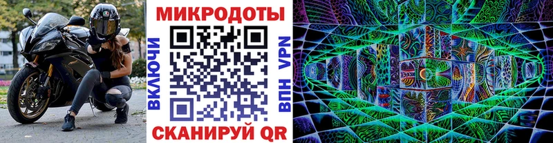 Купить  Бакал  Псилоцибиновые грибы прущие грибы 
