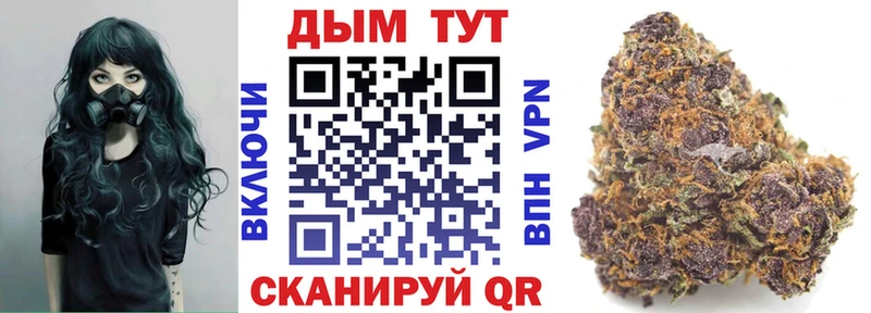 Канабис индика  Купить закладки  Бакал 
